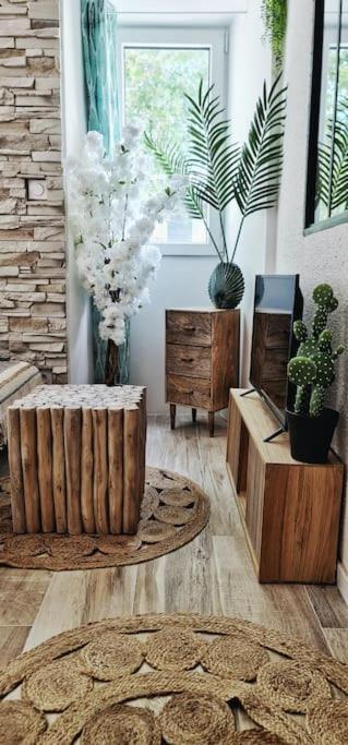 #New#Terrasse Sud Ouest#Pied De La Cite #1 Lejlighed Carcassonne Eksteriør billede