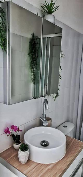 #New#Terrasse Sud Ouest#Pied De La Cite #1 Lejlighed Carcassonne Eksteriør billede