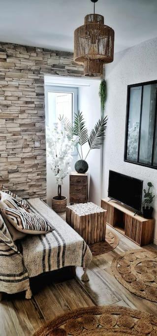 #New#Terrasse Sud Ouest#Pied De La Cite #1 Lejlighed Carcassonne Eksteriør billede
