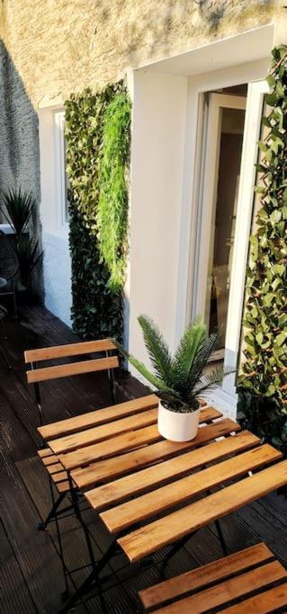 #New#Terrasse Sud Ouest#Pied De La Cite #1 Lejlighed Carcassonne Eksteriør billede