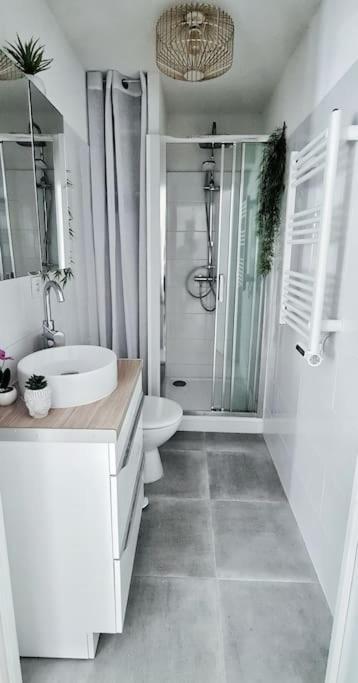 #New#Terrasse Sud Ouest#Pied De La Cite #1 Lejlighed Carcassonne Eksteriør billede